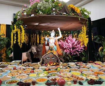 Brij Bhumi Travel Group, Mathura , TAXI SERVICE IN MATHURA